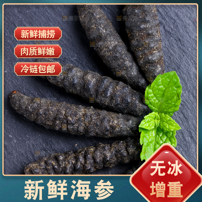 黑石板上放着刺参