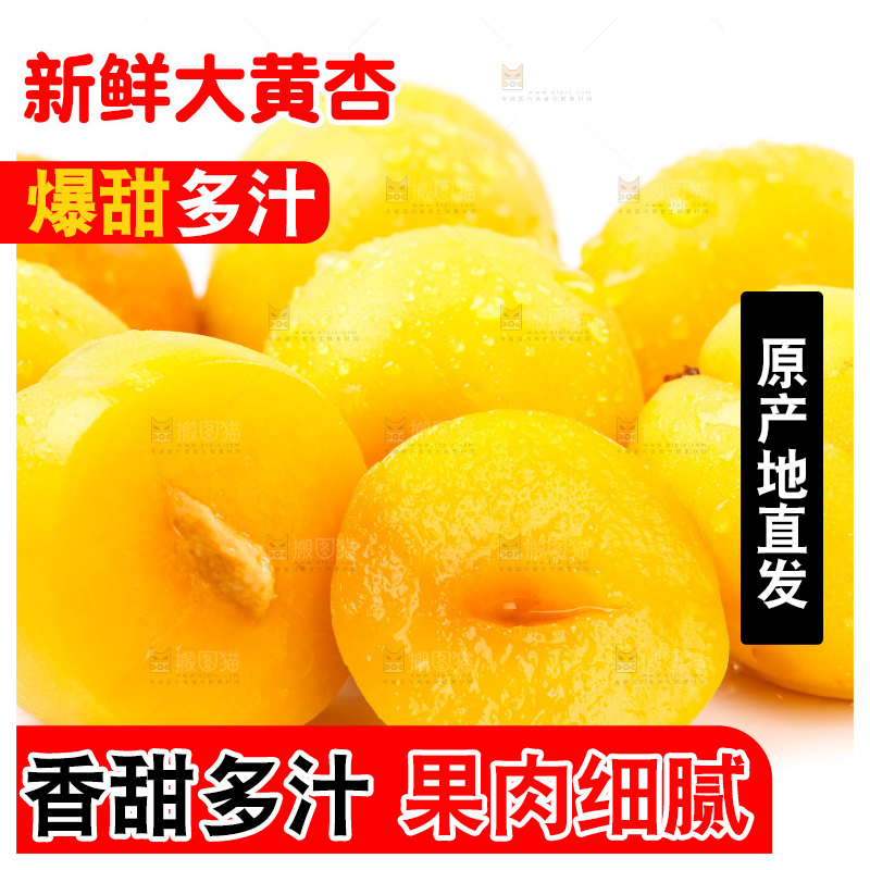 白底上放着大黄杏