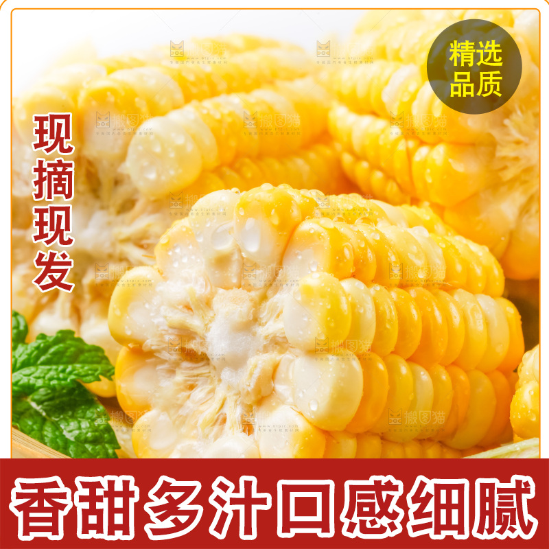 篮子里装着黄玉米