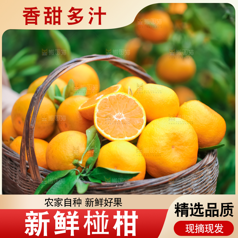 篮子里装着椪柑