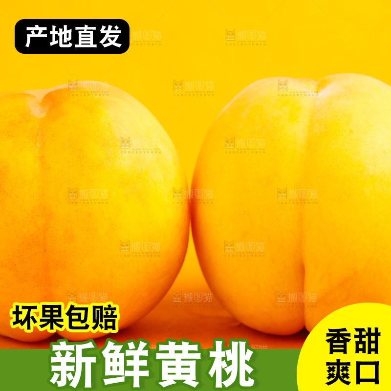 浅底上摆放着山东蒙阴黄桃