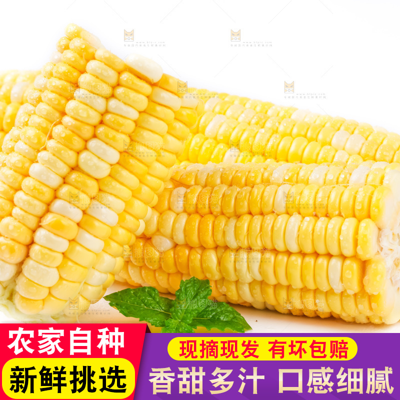 白底上摆放着玉米