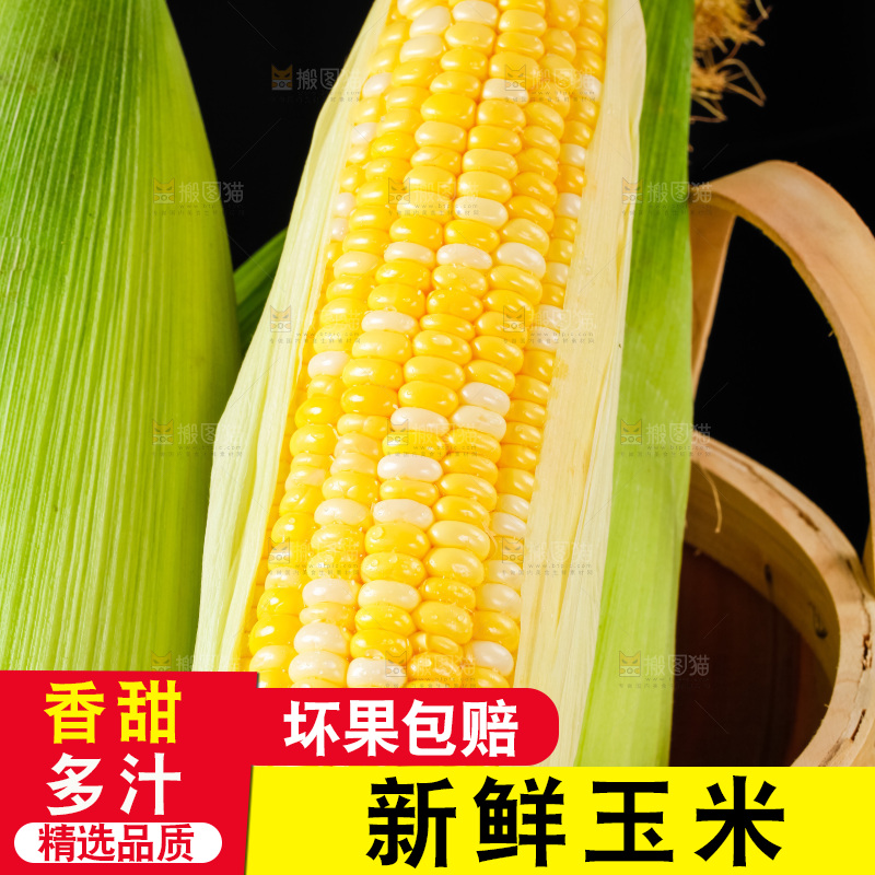 篮子里装着玉米