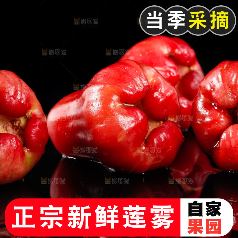 深底上摆放着新鲜莲雾