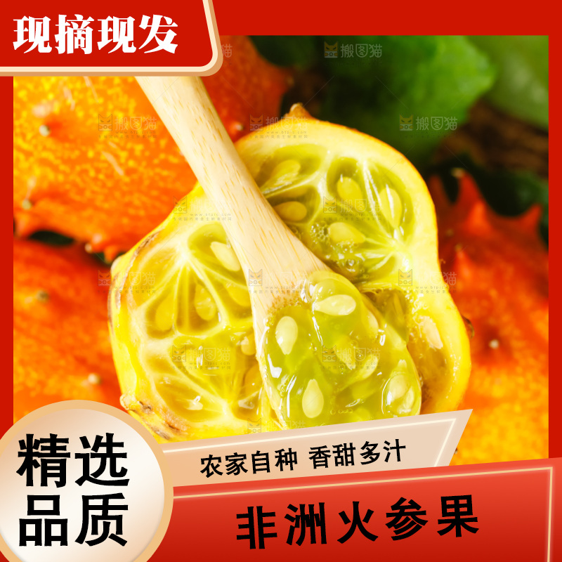 摆放着一堆的刺角瓜