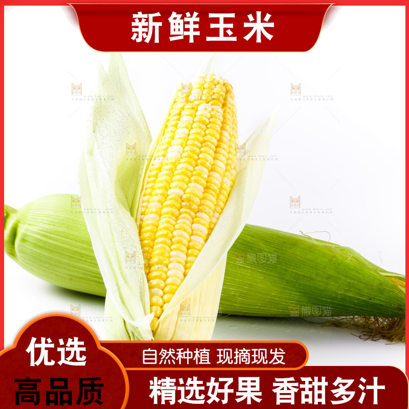 白底上放着黄玉米