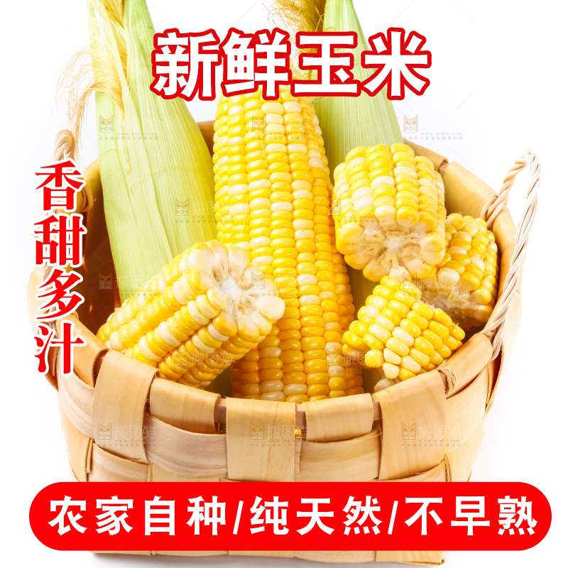 篮子里装着黄玉米