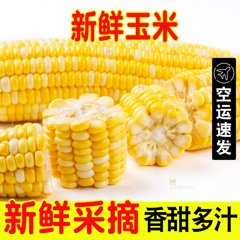 白底上摆放着玉米