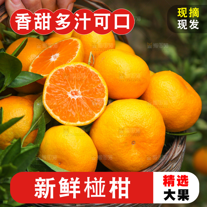 手里拿着一篮子椪柑