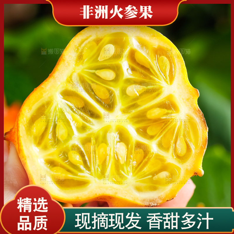 手里拿着刺角瓜