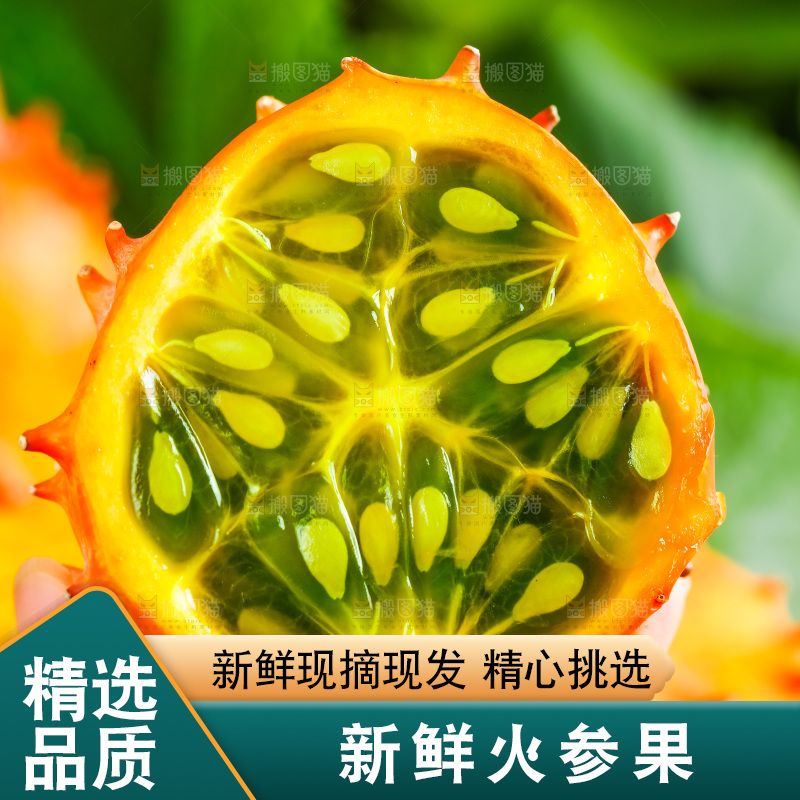 手里拿着刺角瓜