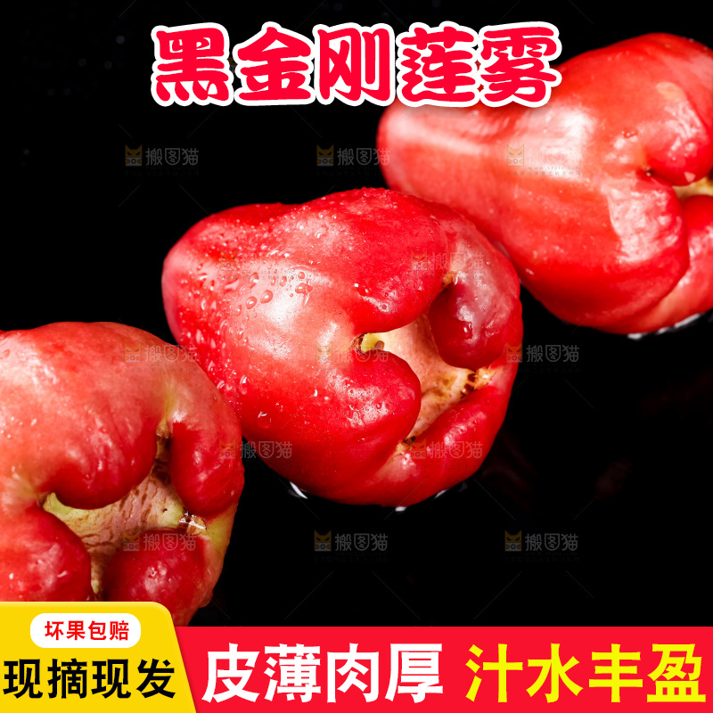 黑底上放着红宝石莲雾