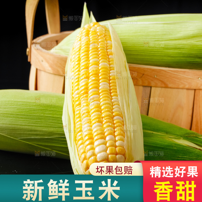 黑底上摆放着玉米棒