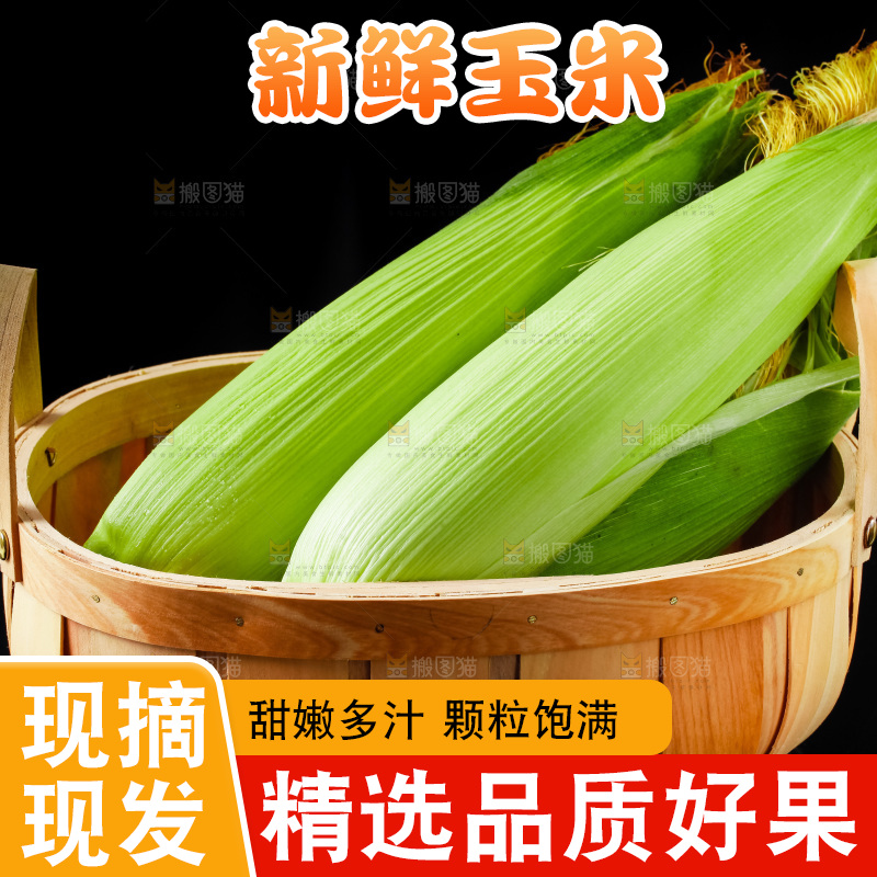 篮子里装着苞谷