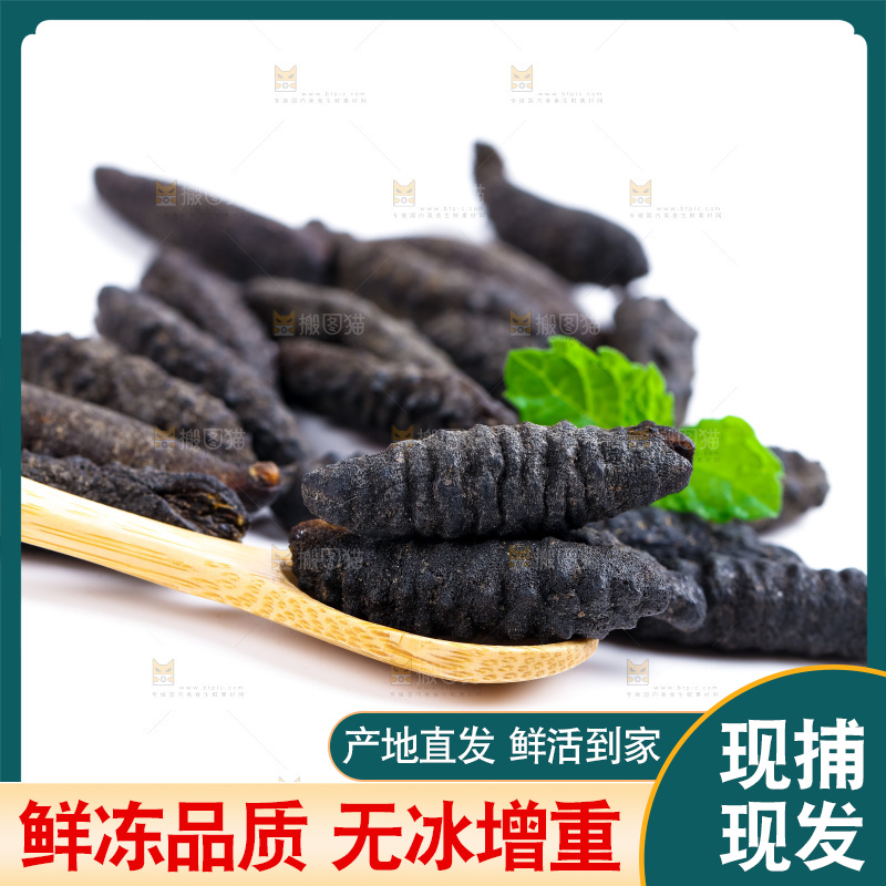 白底上摆放着海参