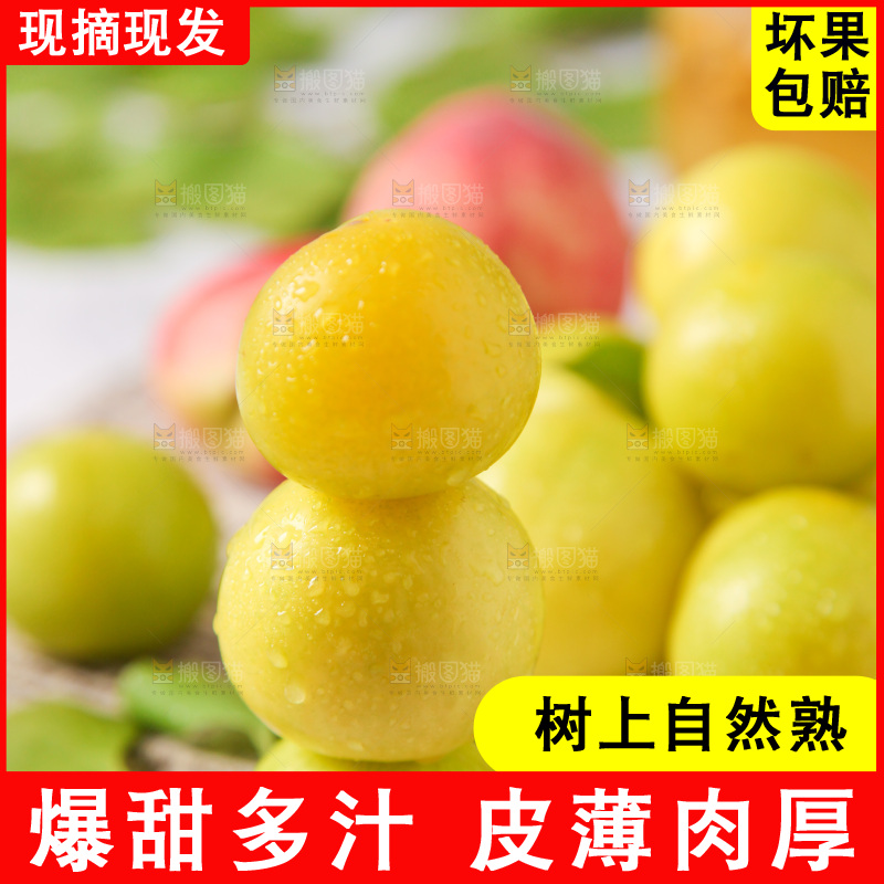 白底上摆放着黄金奈李