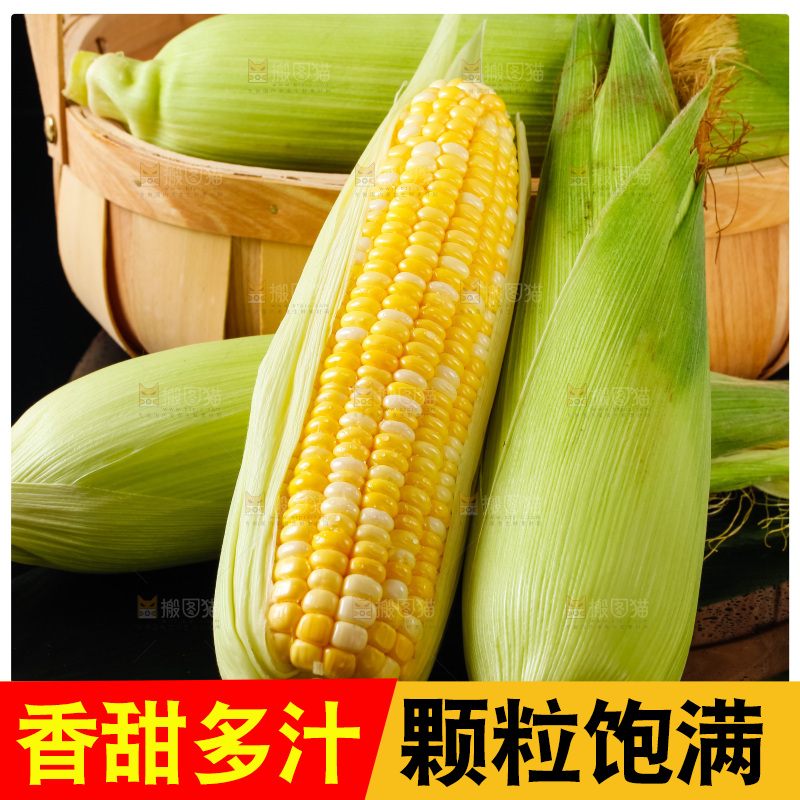 黑底上摆放着玉米棒