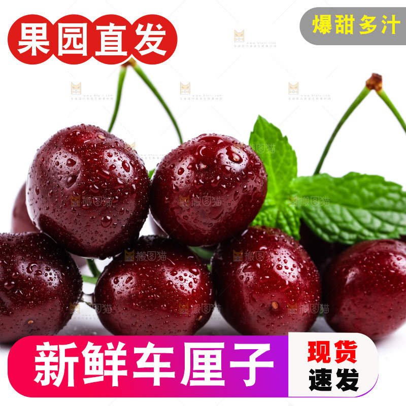 白底上的黑珍珠樱桃