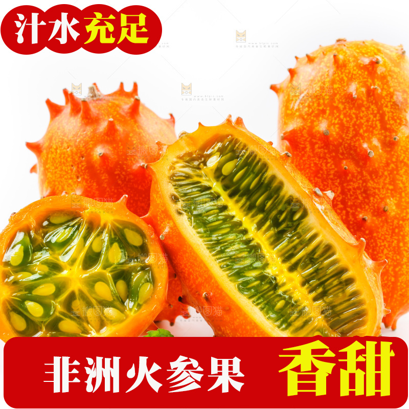 白底上摆放着刺角瓜