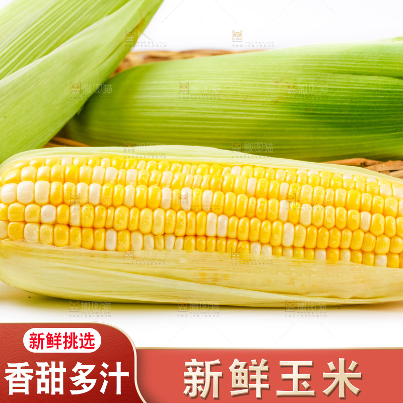 白底上摆放着甜玉米