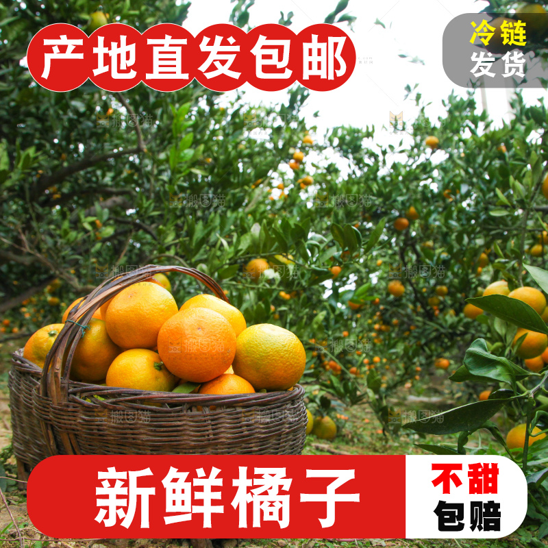 篮子里装着橘子