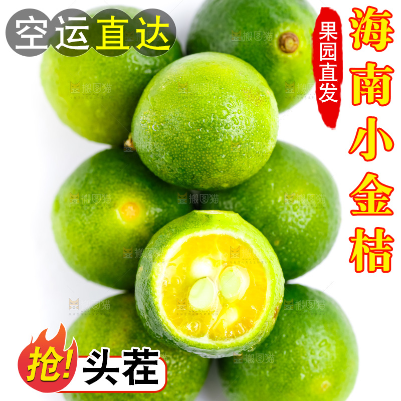 白底上摆放着海南小金桔