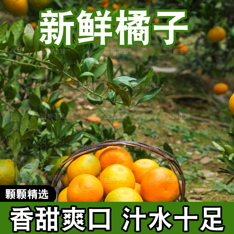 篮子里装着橘子