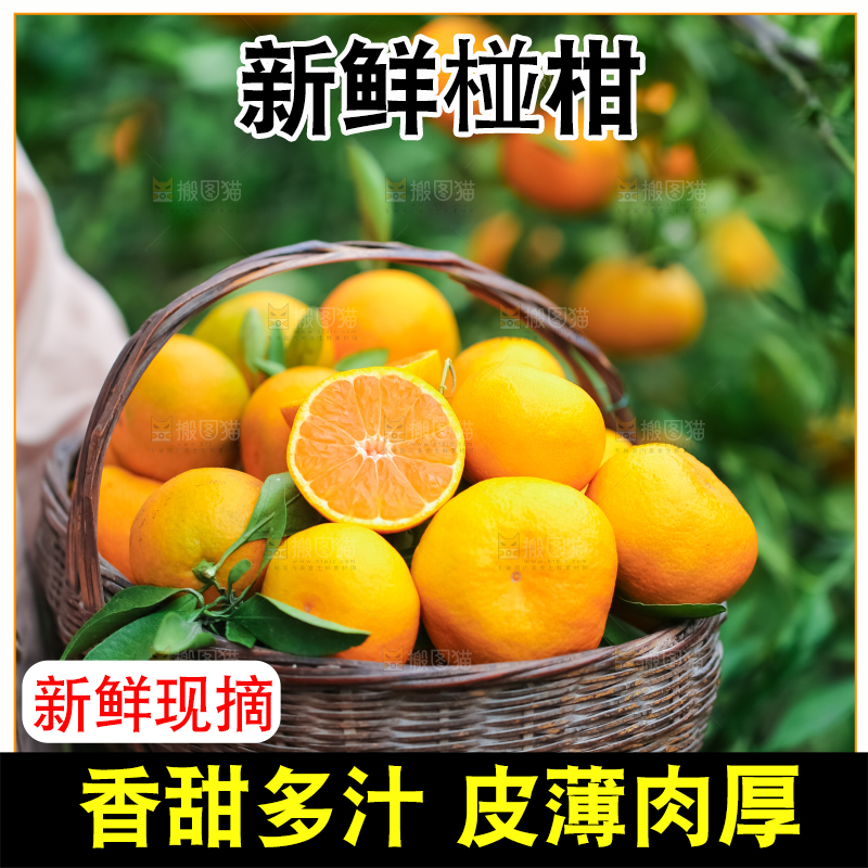 篮子里装着椪柑