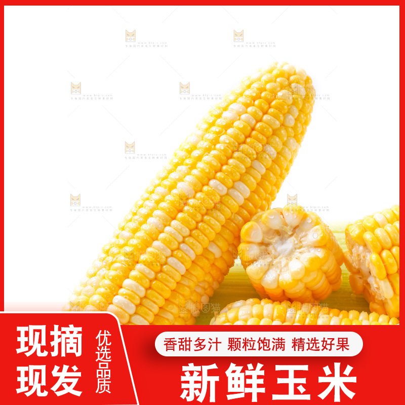 篮子里装着黄玉米
