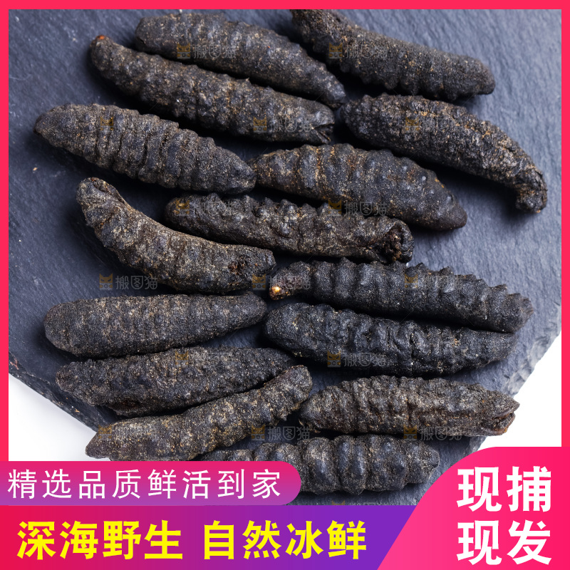 黑石板上放着刺参