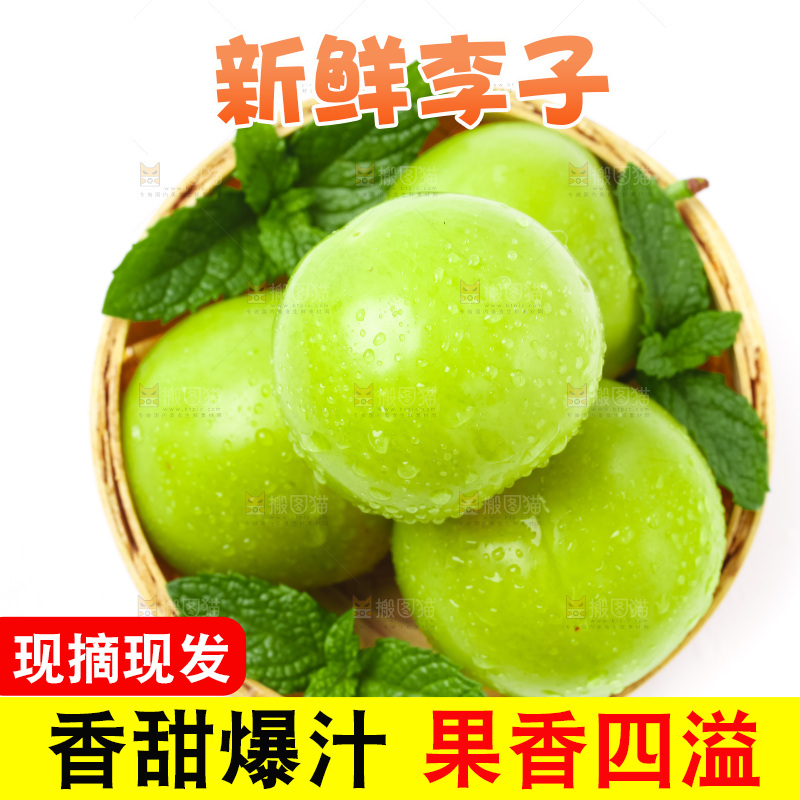篮子里装着新鲜青李子