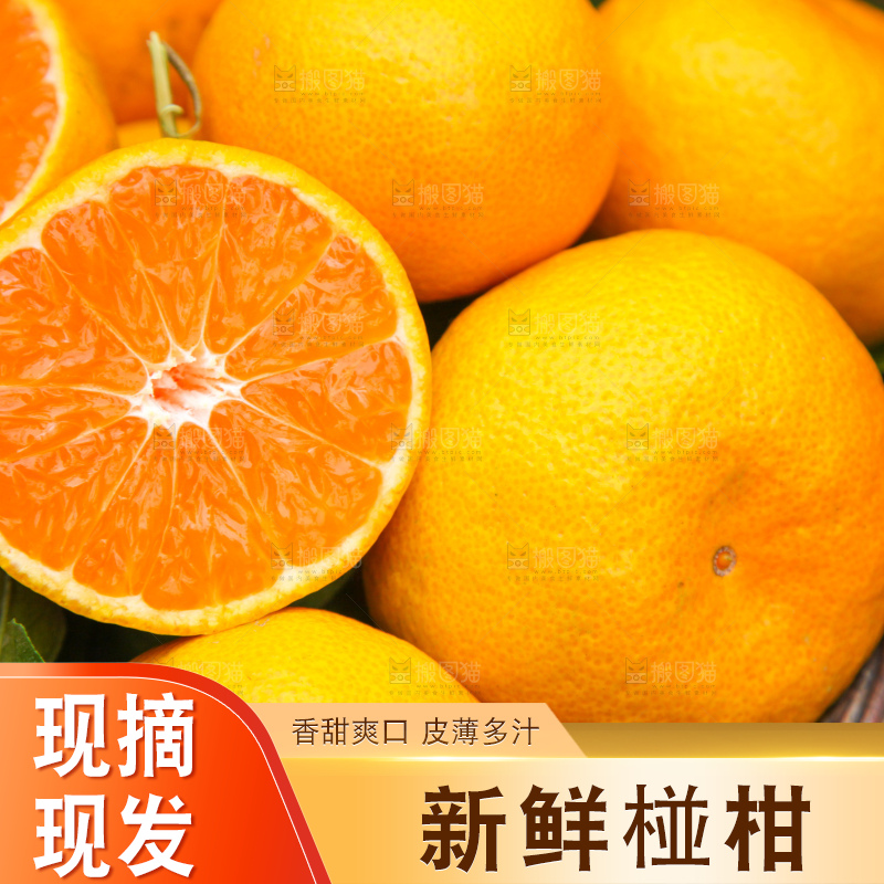 手里拿着一篮子椪柑