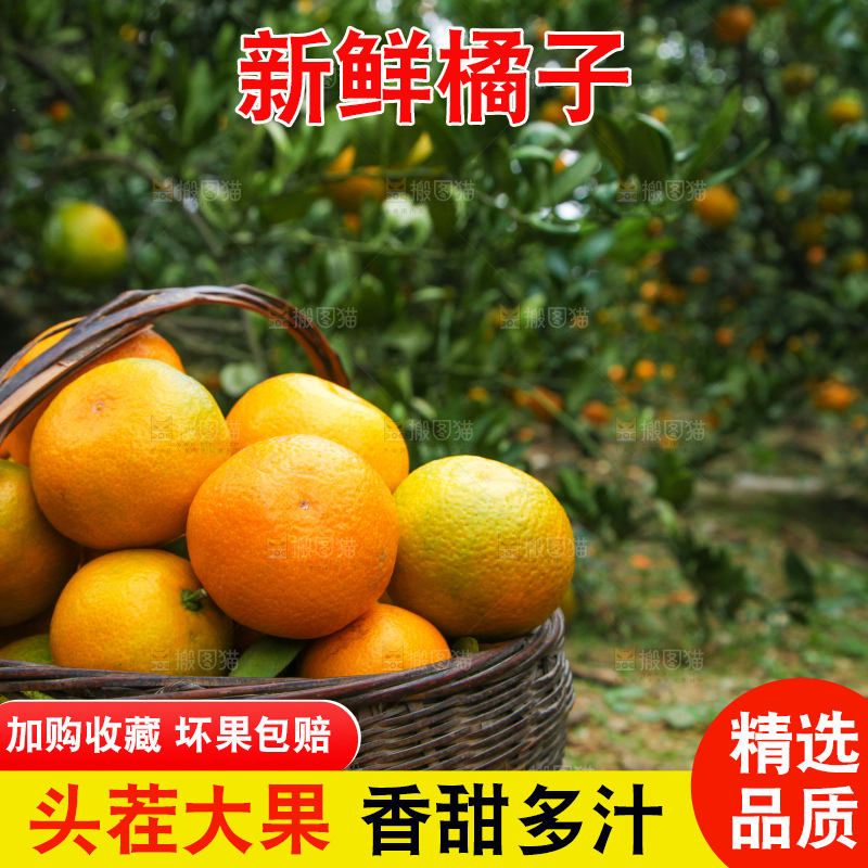 篮子里装着橘子