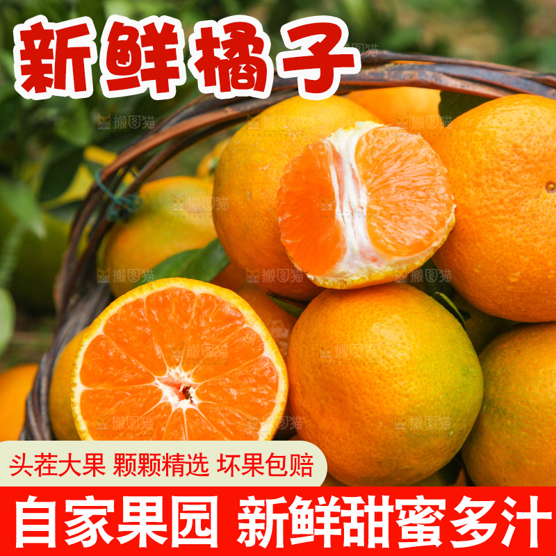 篮子里装着橘子