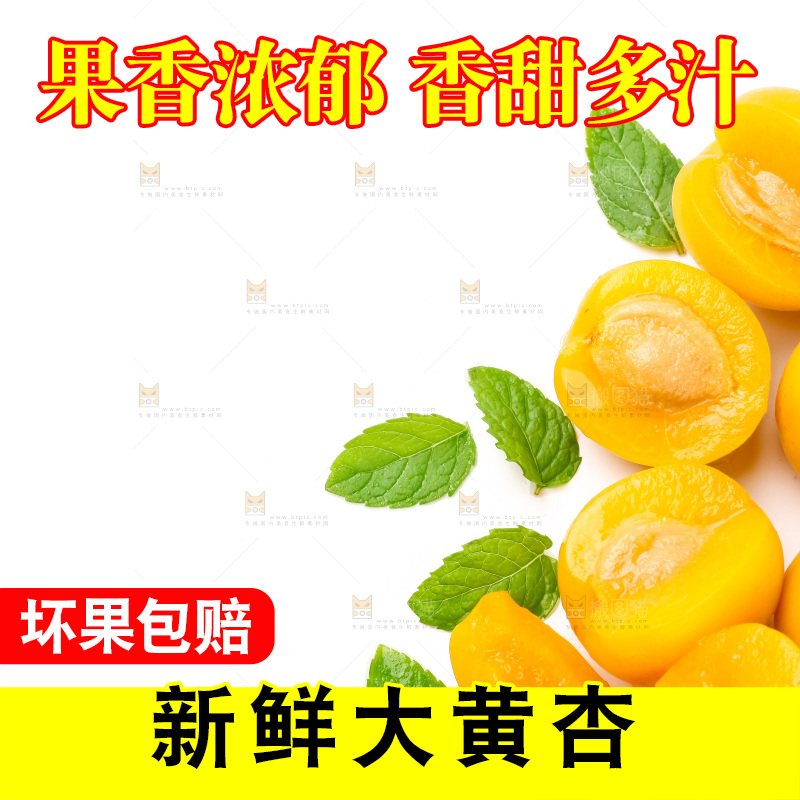 白底上放着大黄杏