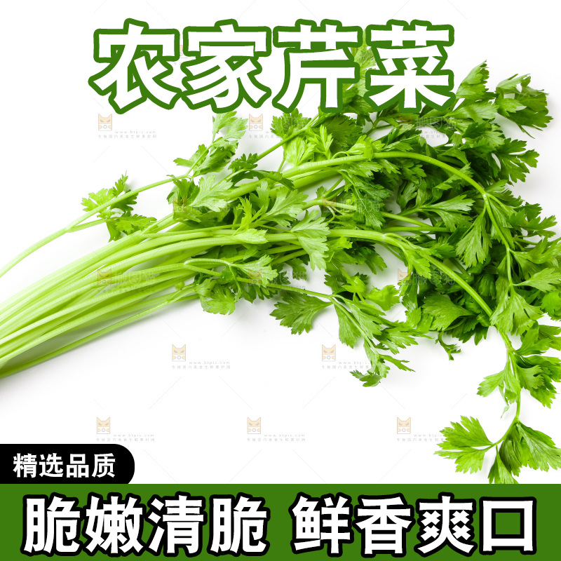 白底上摆放着芹菜