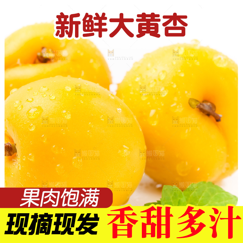 白底上摆放着麦黄杏