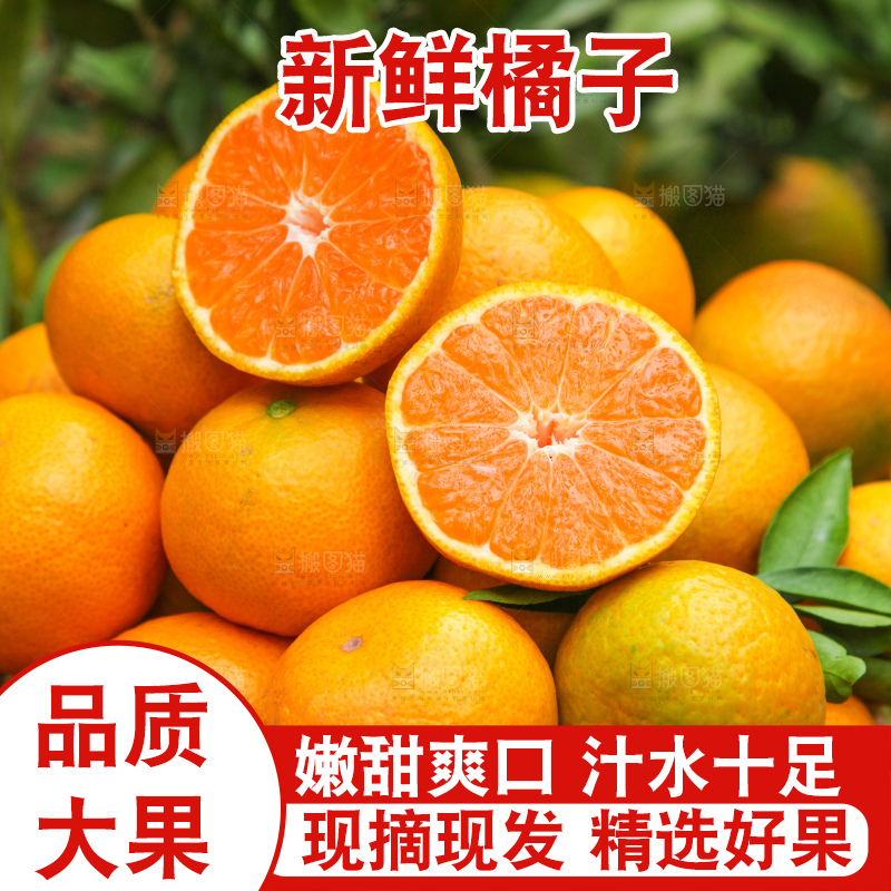 篮子里装着橘子