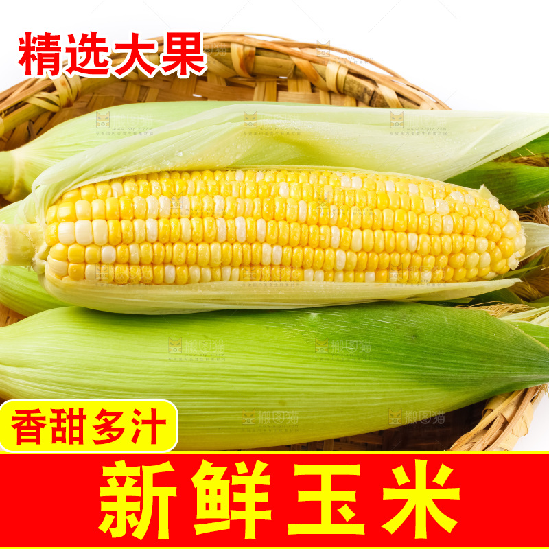 篮子里装着甜玉米