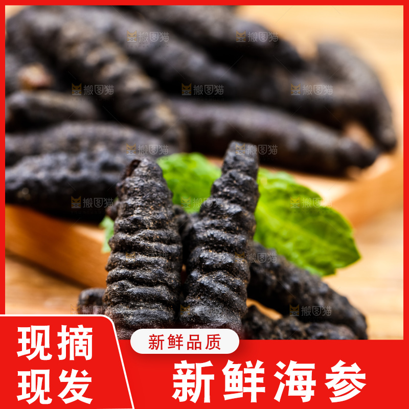 木底上摆放着海刺参