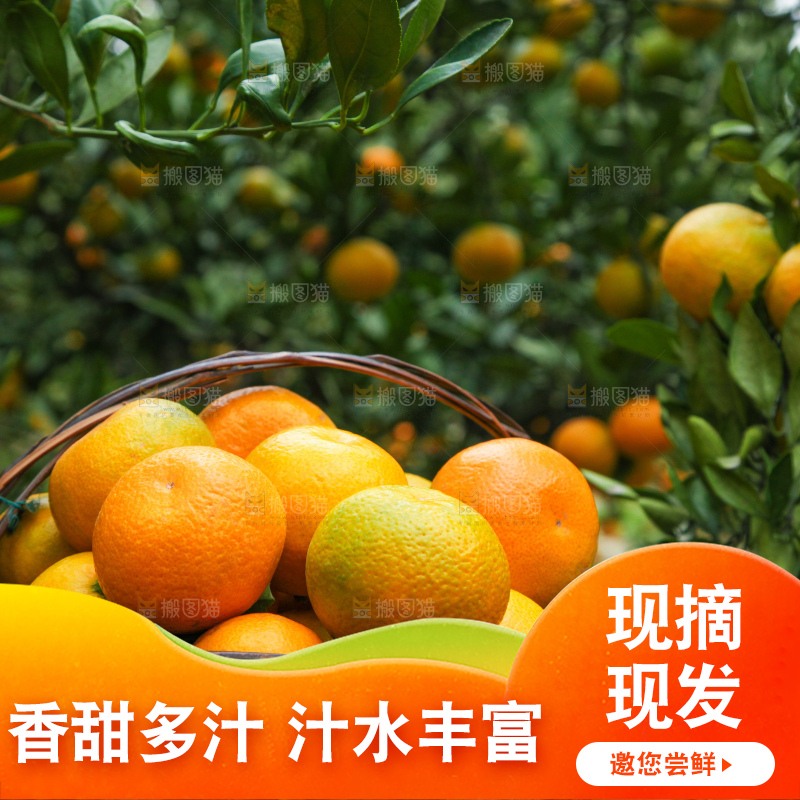 篮子里装着橘子