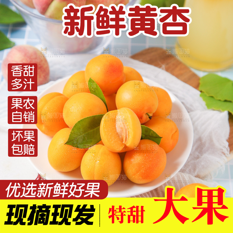 盘子里装着陕西大黄杏