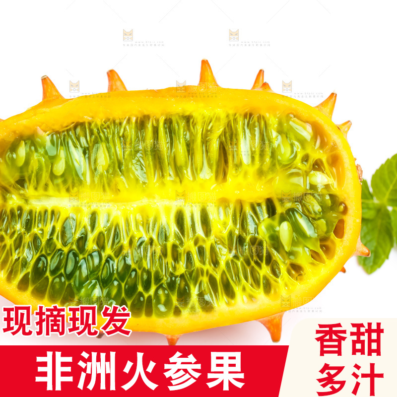 白底上的刺角瓜