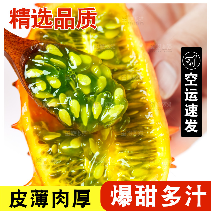 手里拿着刺角瓜
