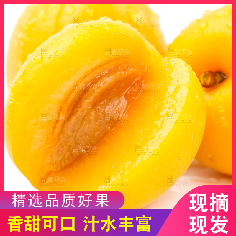 白底上摆放着麦黄杏