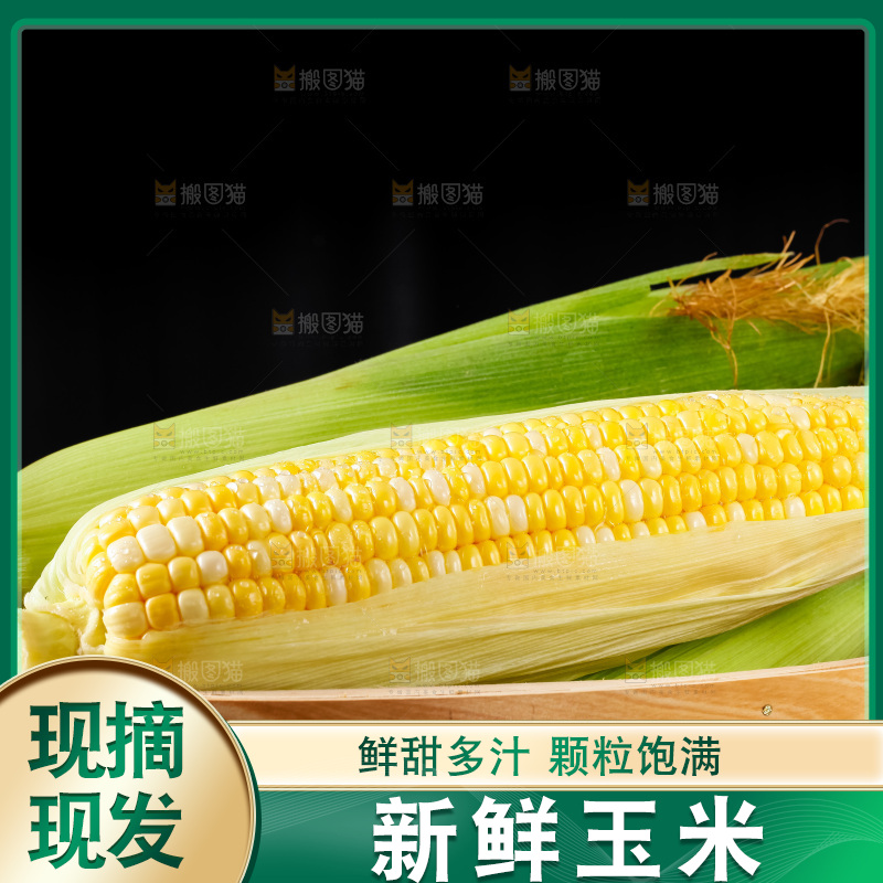 篮子里装着新鲜玉米