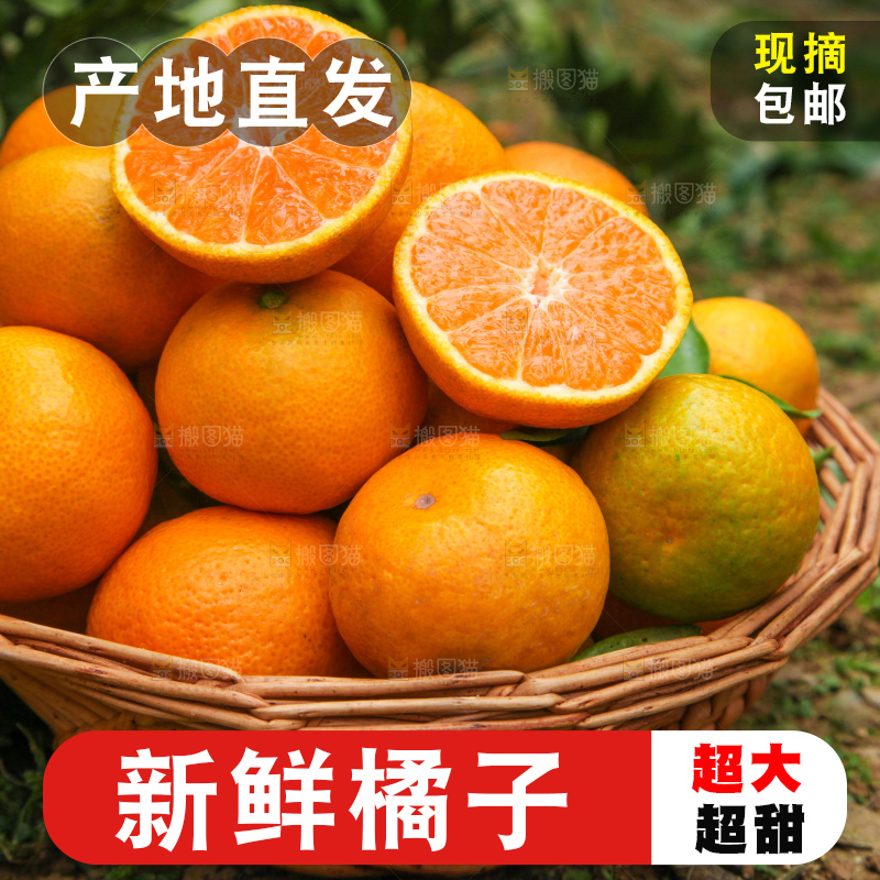篮子里装着橘子