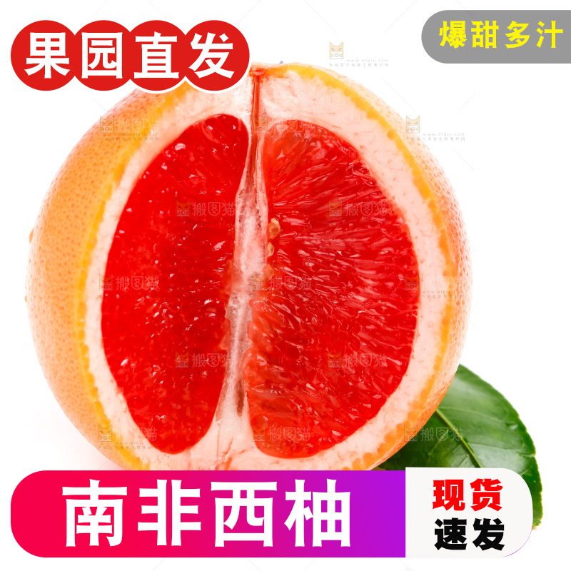 白底上摆放着南非西柚