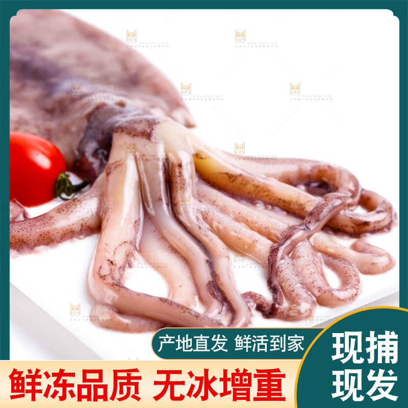 盘子里装着鱿鱼