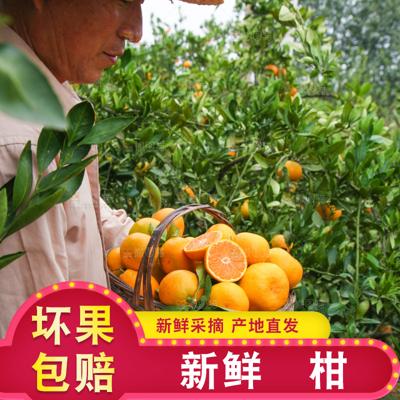 手里拿着一篮子椪柑